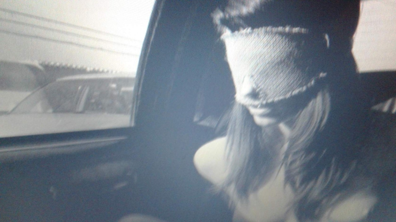 blindfolded, in the car
